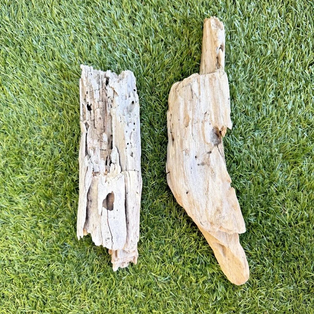 2 Natural Driftwood Pieces California Coast Rustic Beach Decor Aquarium Art